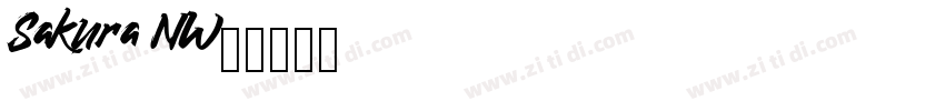 Sakura NW7字体转换